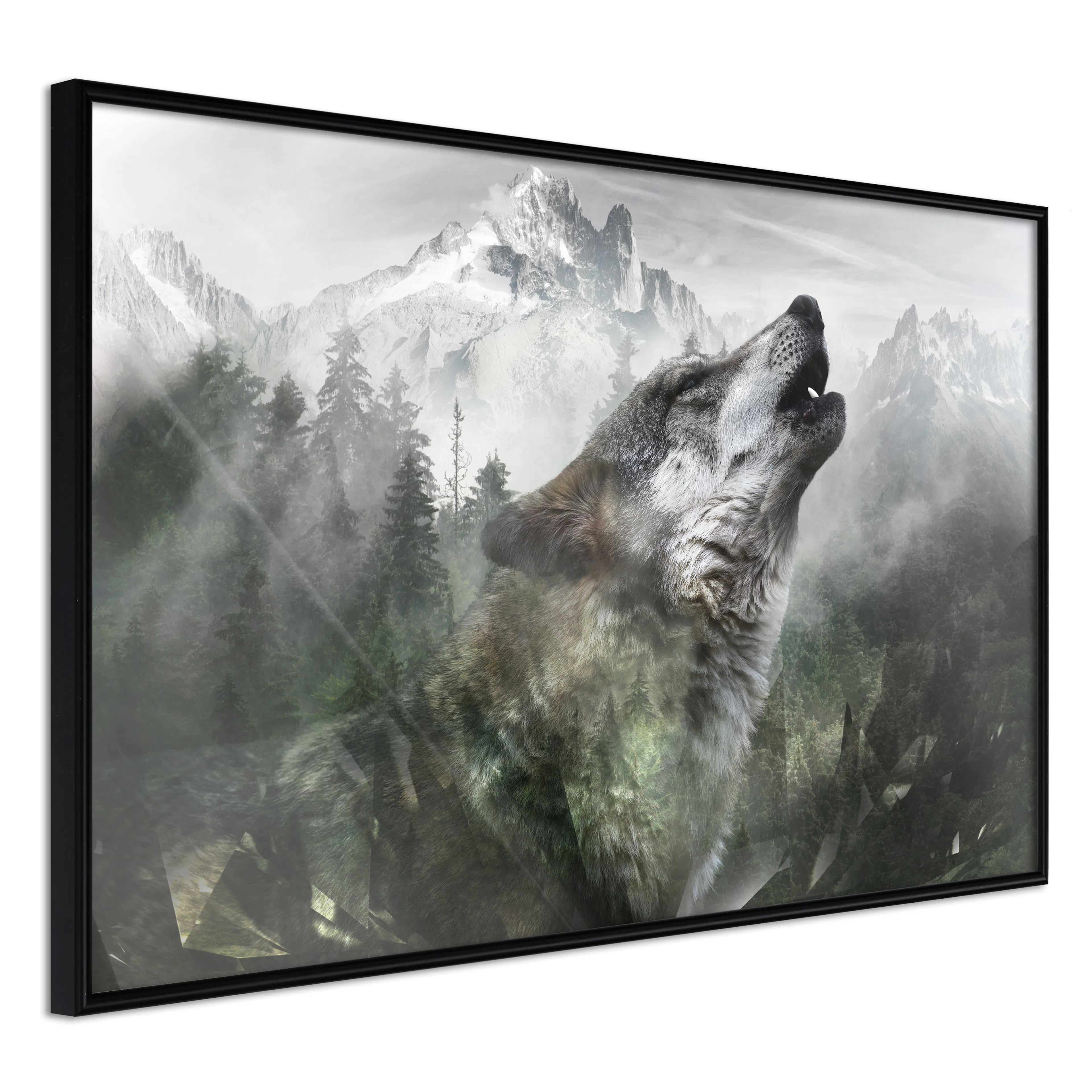 Affisch - Howling Wolf [Poster] 30x20 Svart ram, 30x20 cm