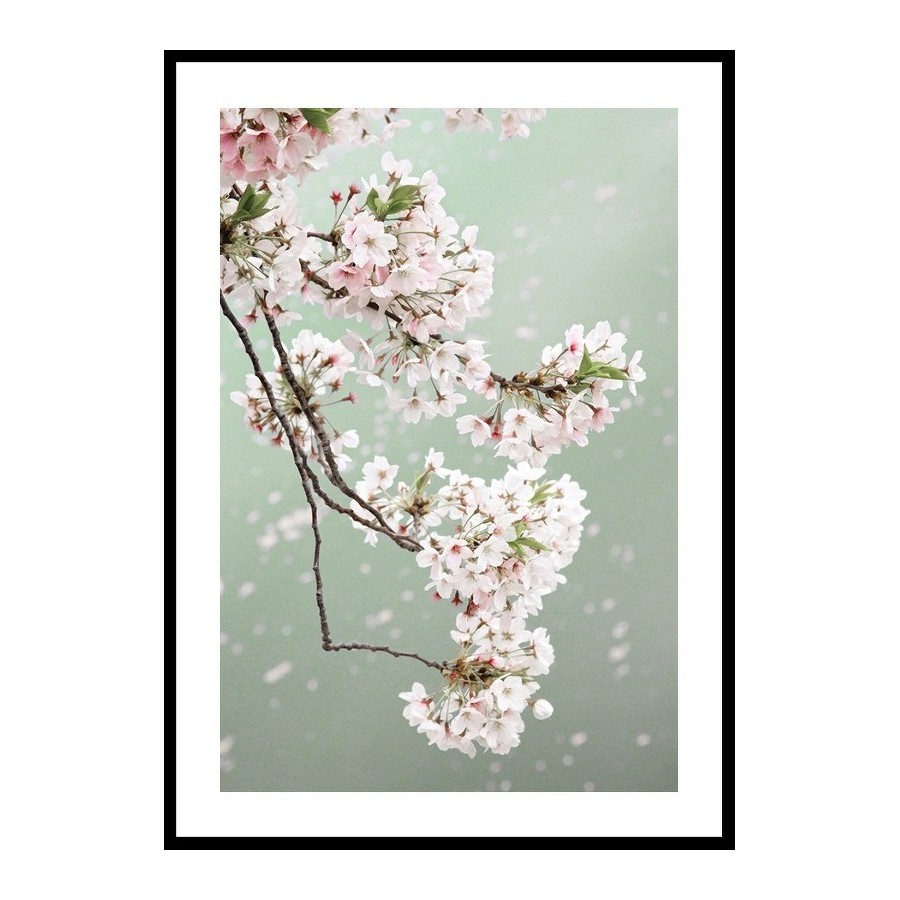 Poster Gallerix Cherry Blossom