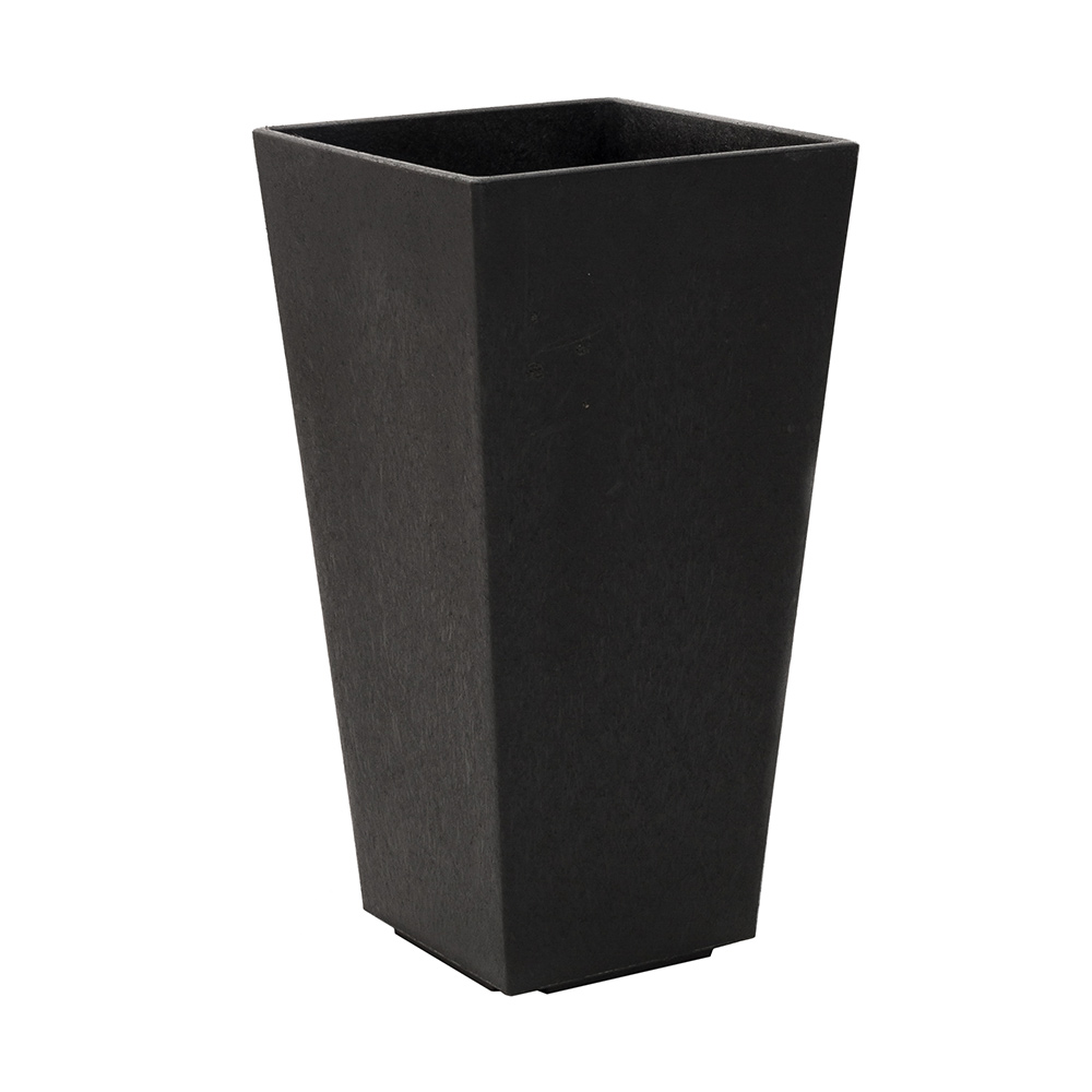 Blomkruka Recal Sonata