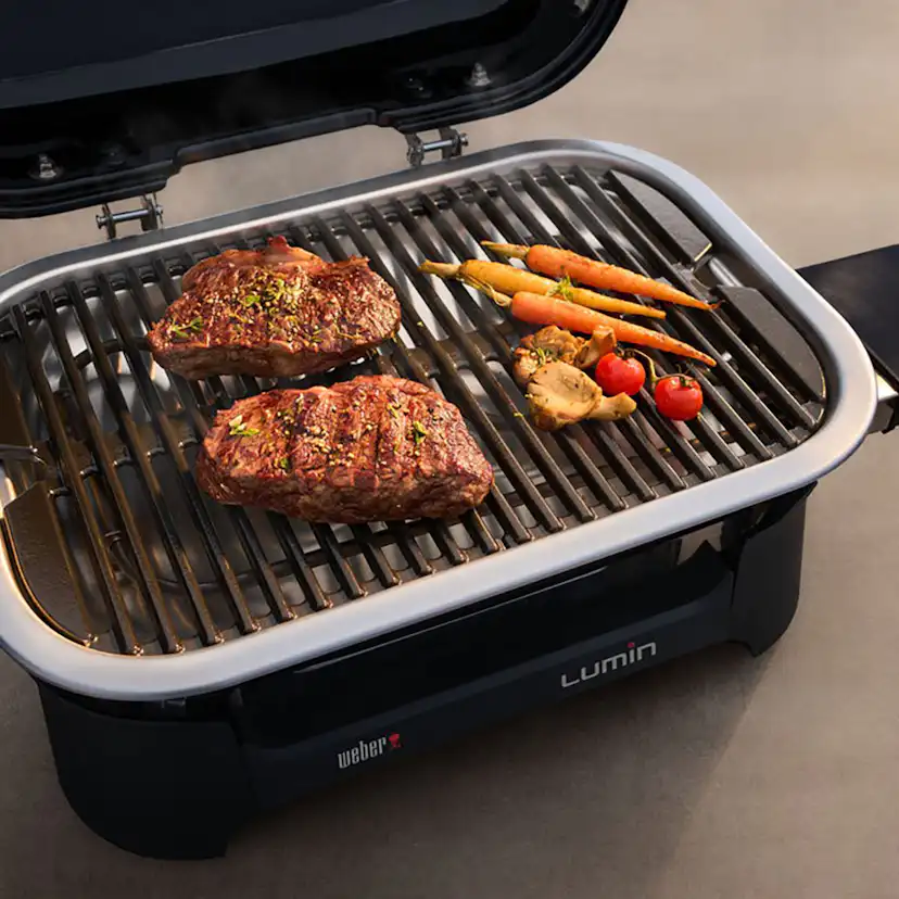 Elgrill Weber Lumin Compact