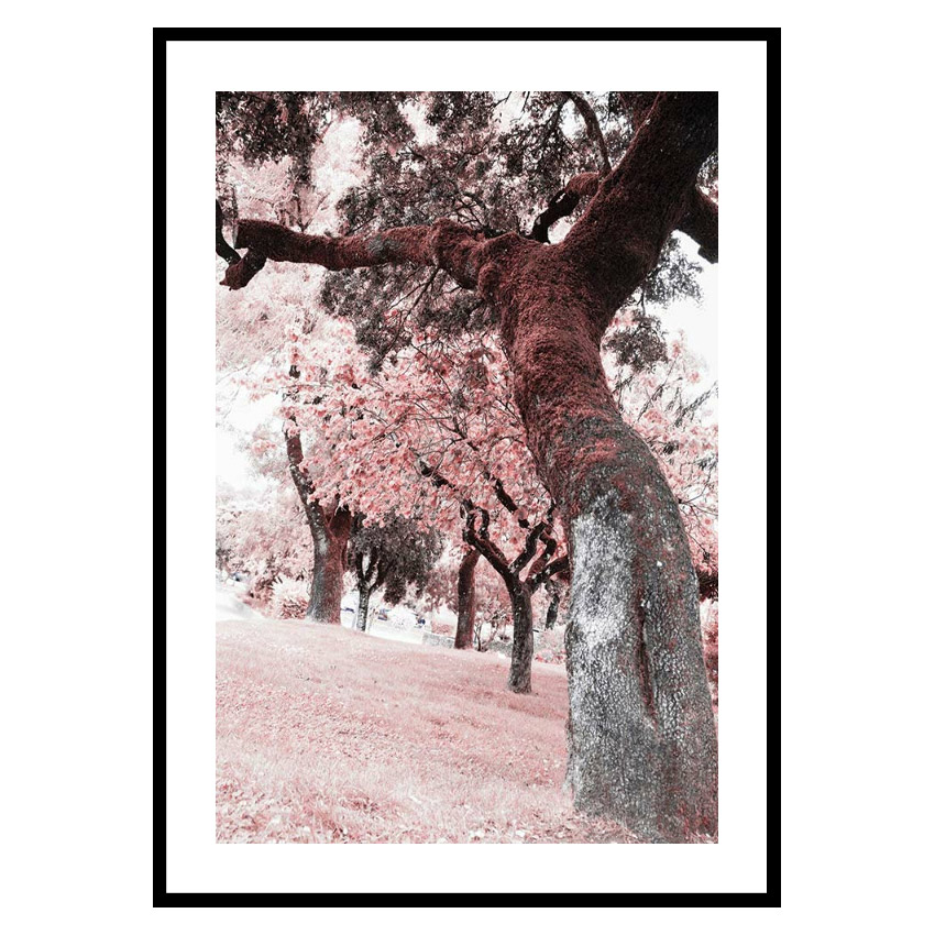 Poster Gallerix Pink Trees No2