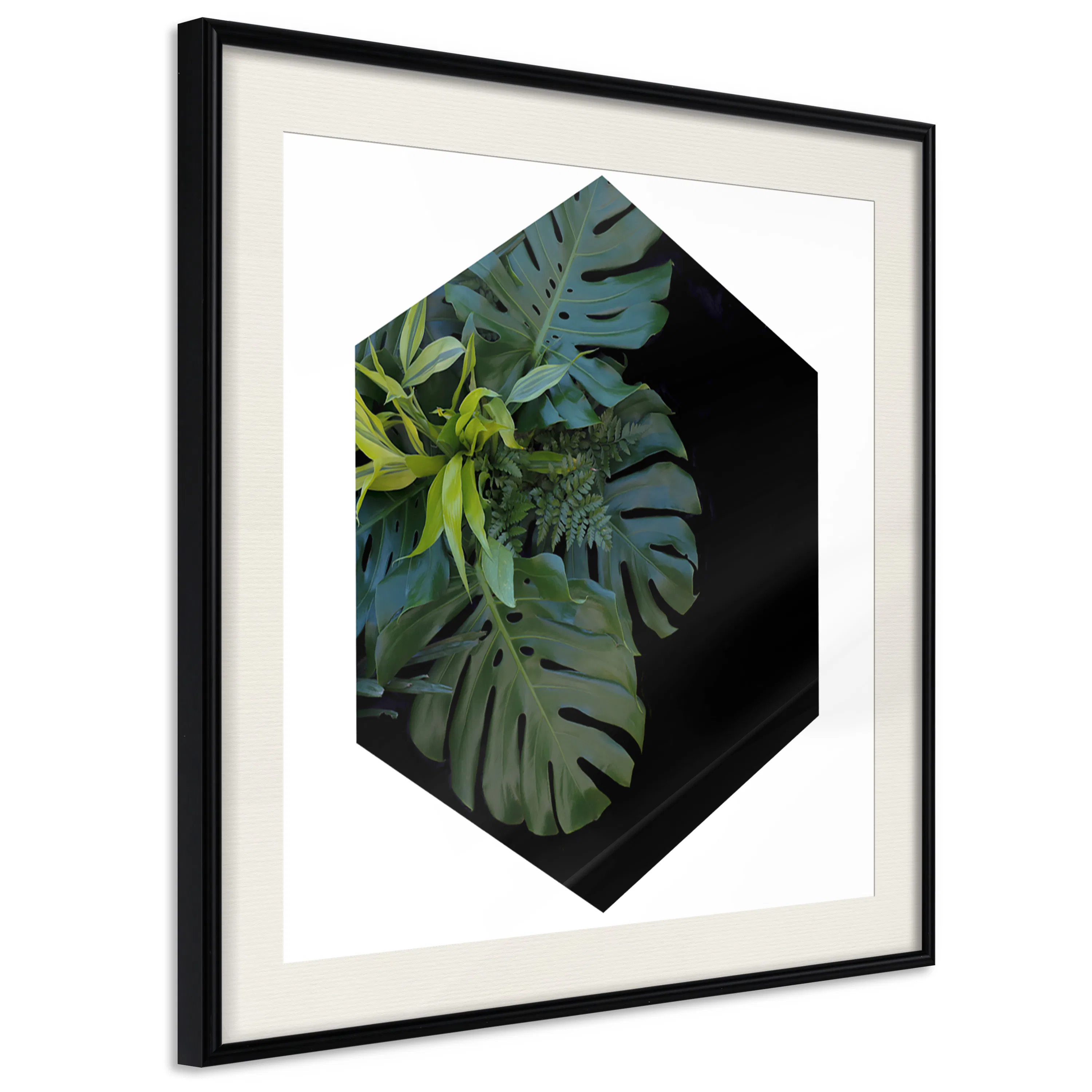 Poster Artgeist Affisch Plant Hexagon