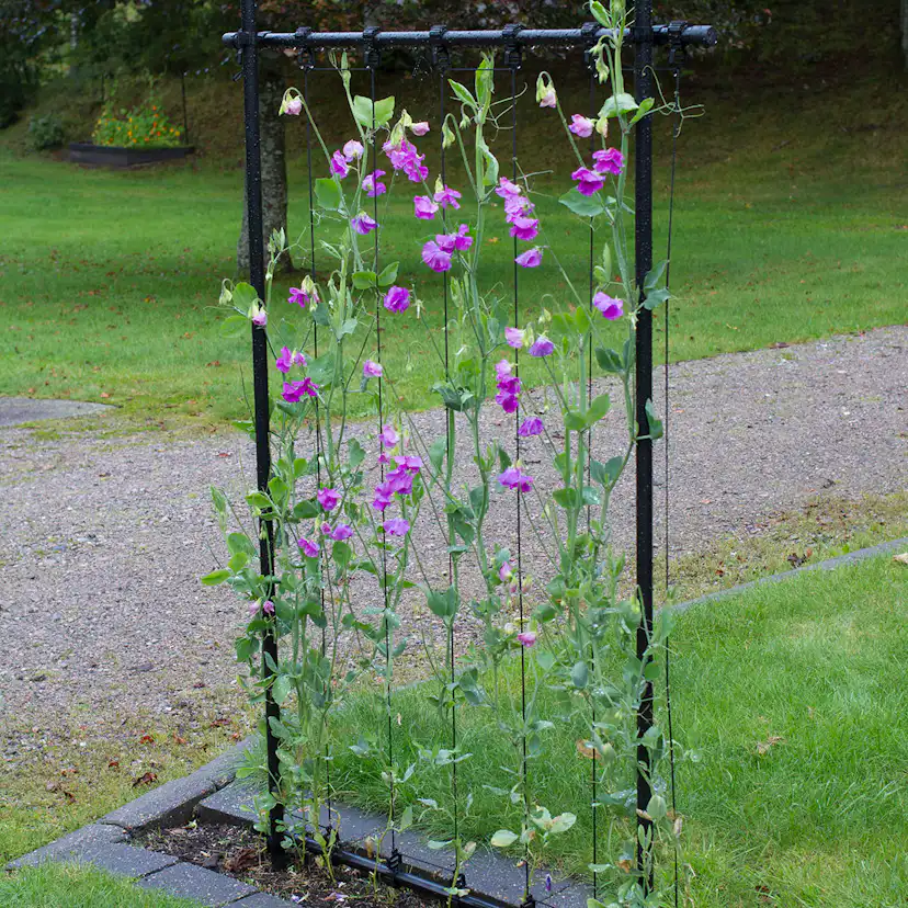 Ramspaljé Flexigarden