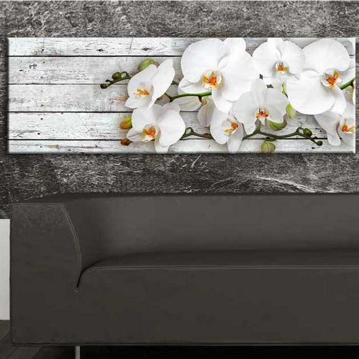 Tavla Arkiio White Dreams