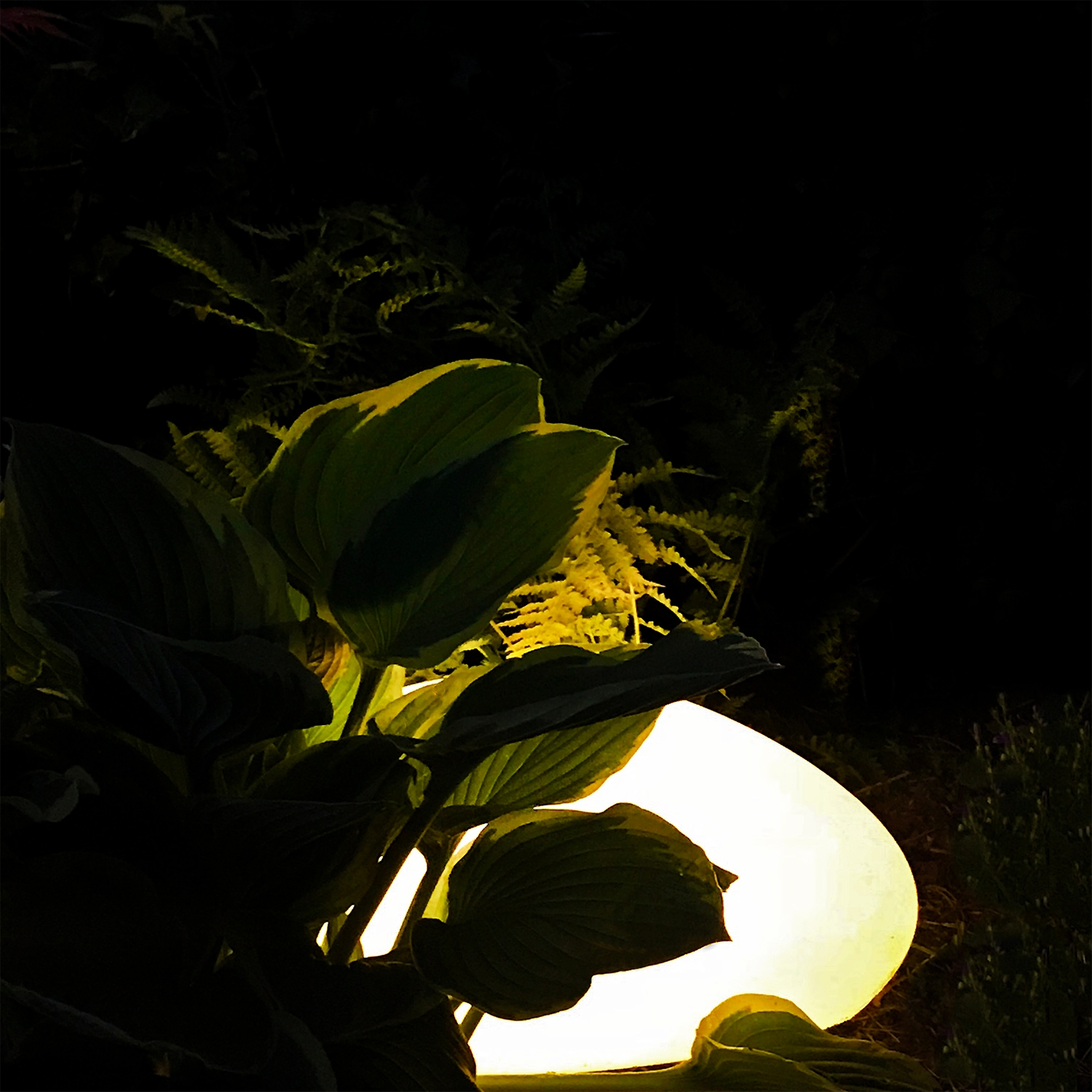 Dekorationsbelysning Lightson Stone