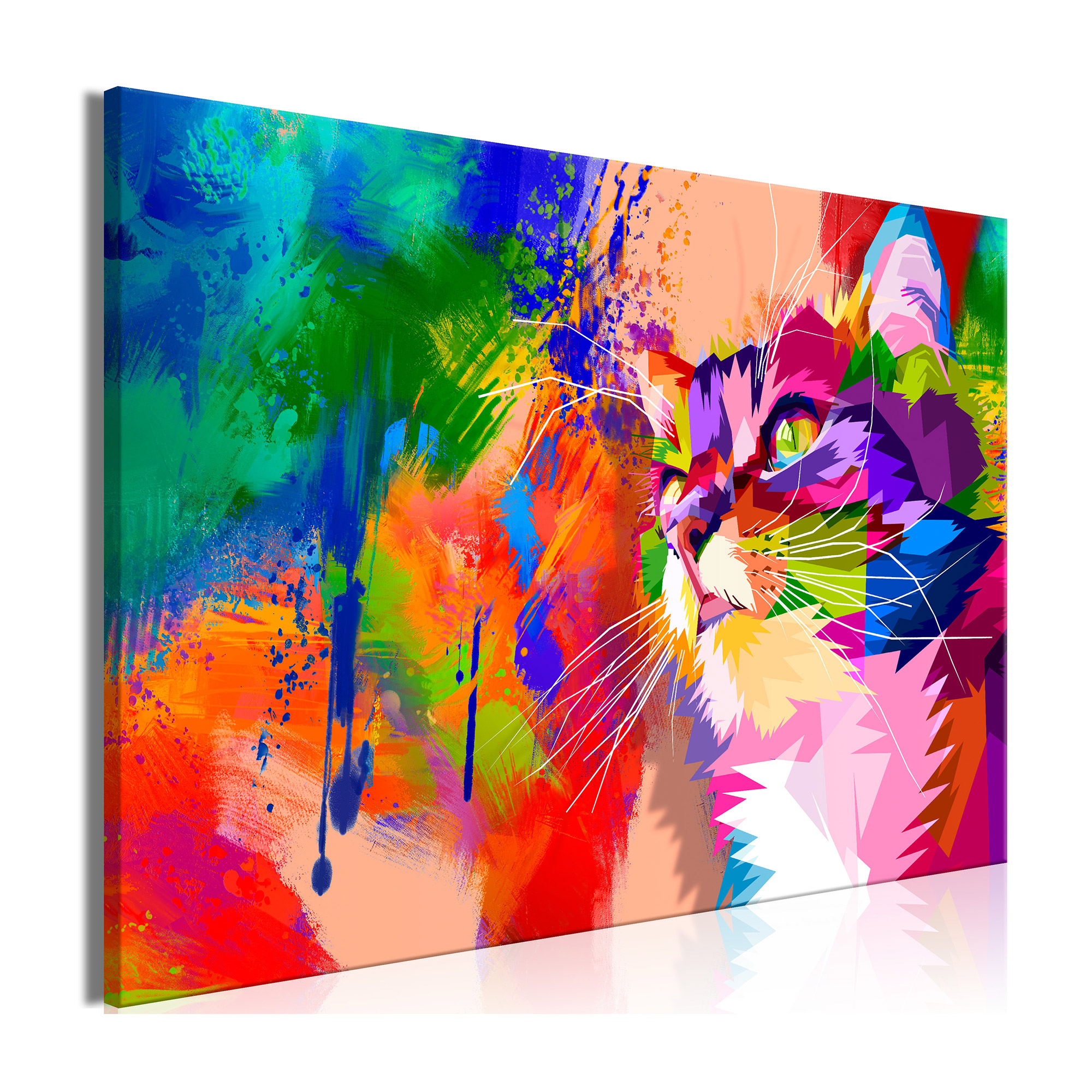 Tavla Arkiio Colourful Cat