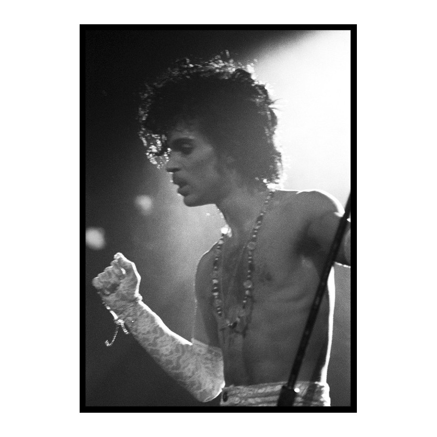 Poster Gallerix Prince