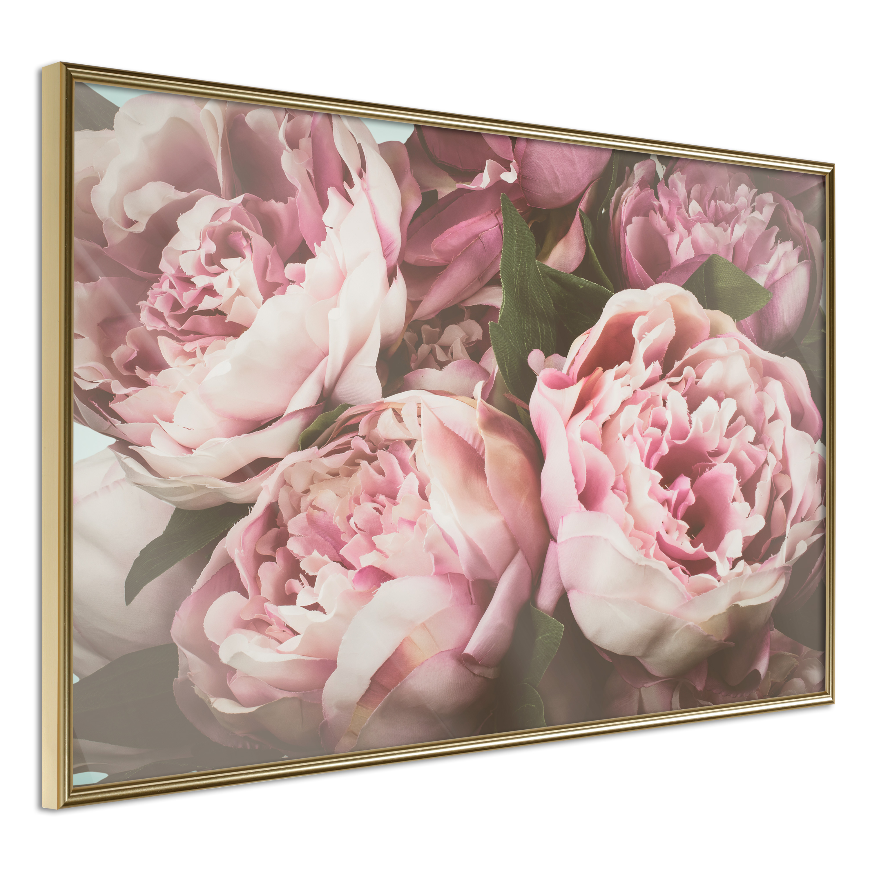 Affisch - Pink Peonies [Poster] 90x60 Guld ram, 90x60 cm