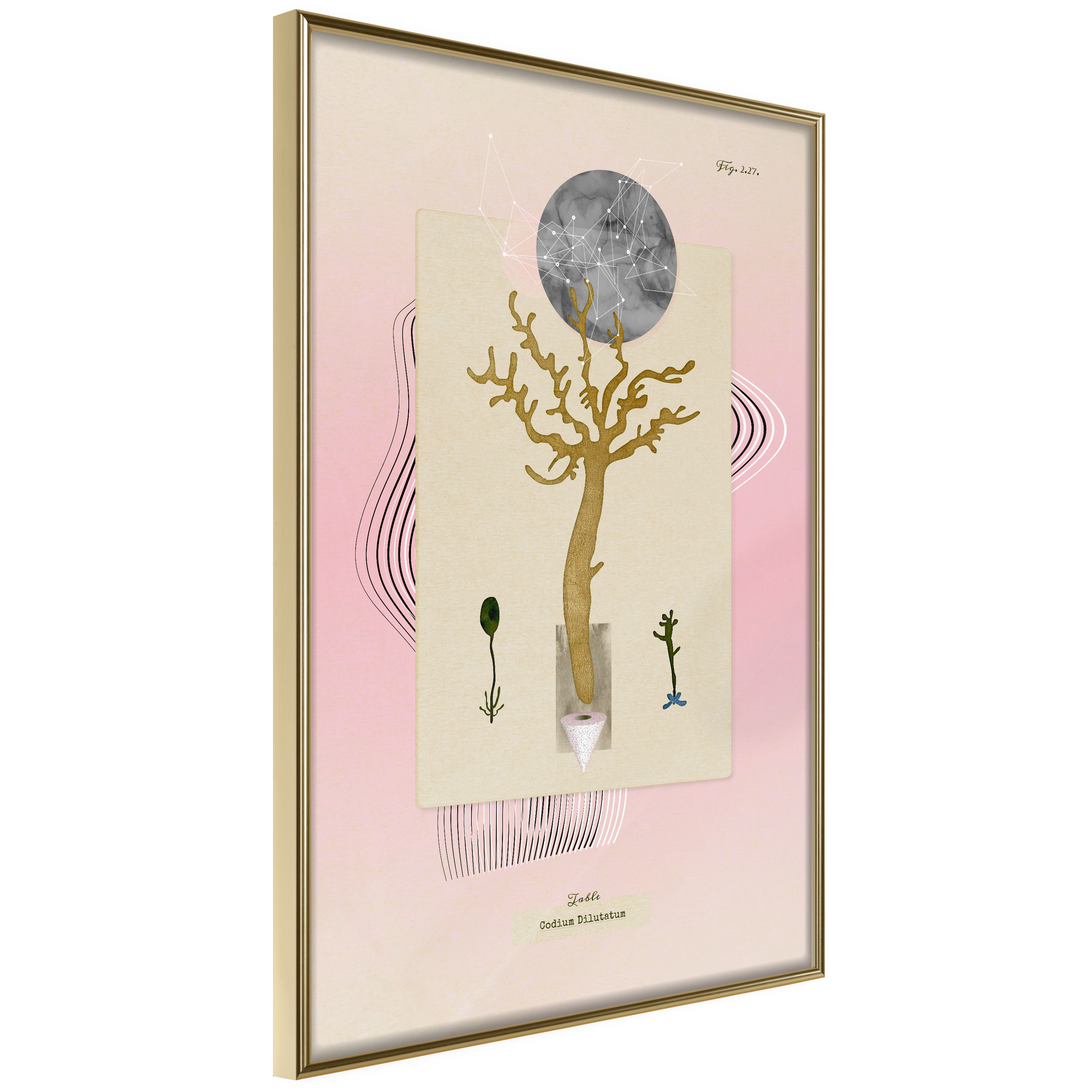 Poster Artgeist Affisch Unusual Plant