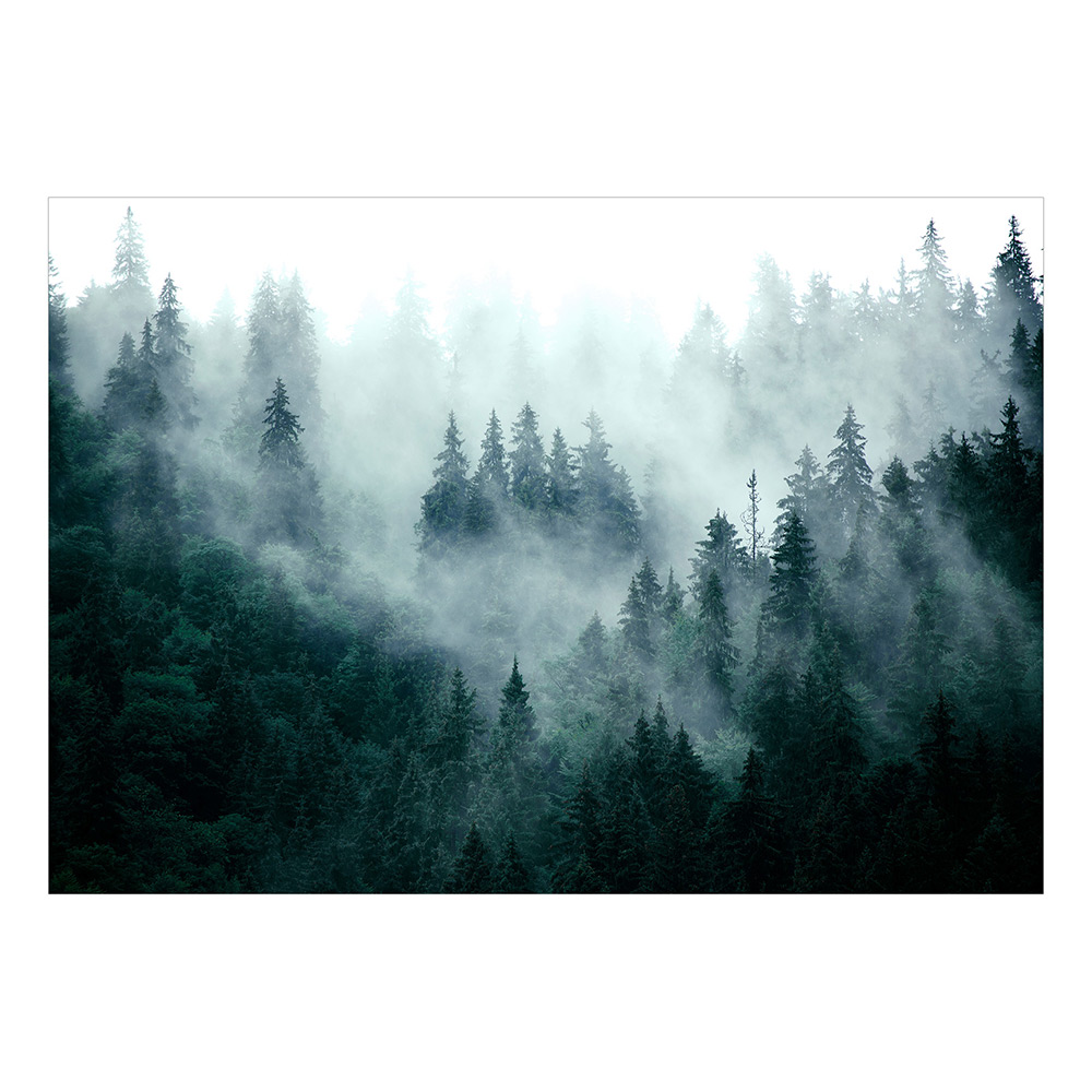 Fototapet Arkiio Mountain Forest (Dark Green) Självhäftande