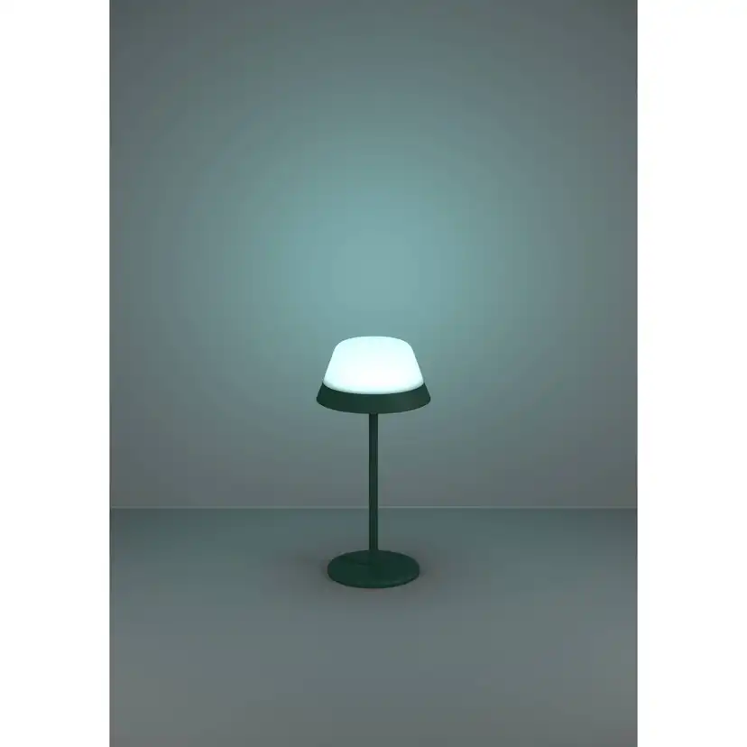 Bordslampa Eglo Meggiano