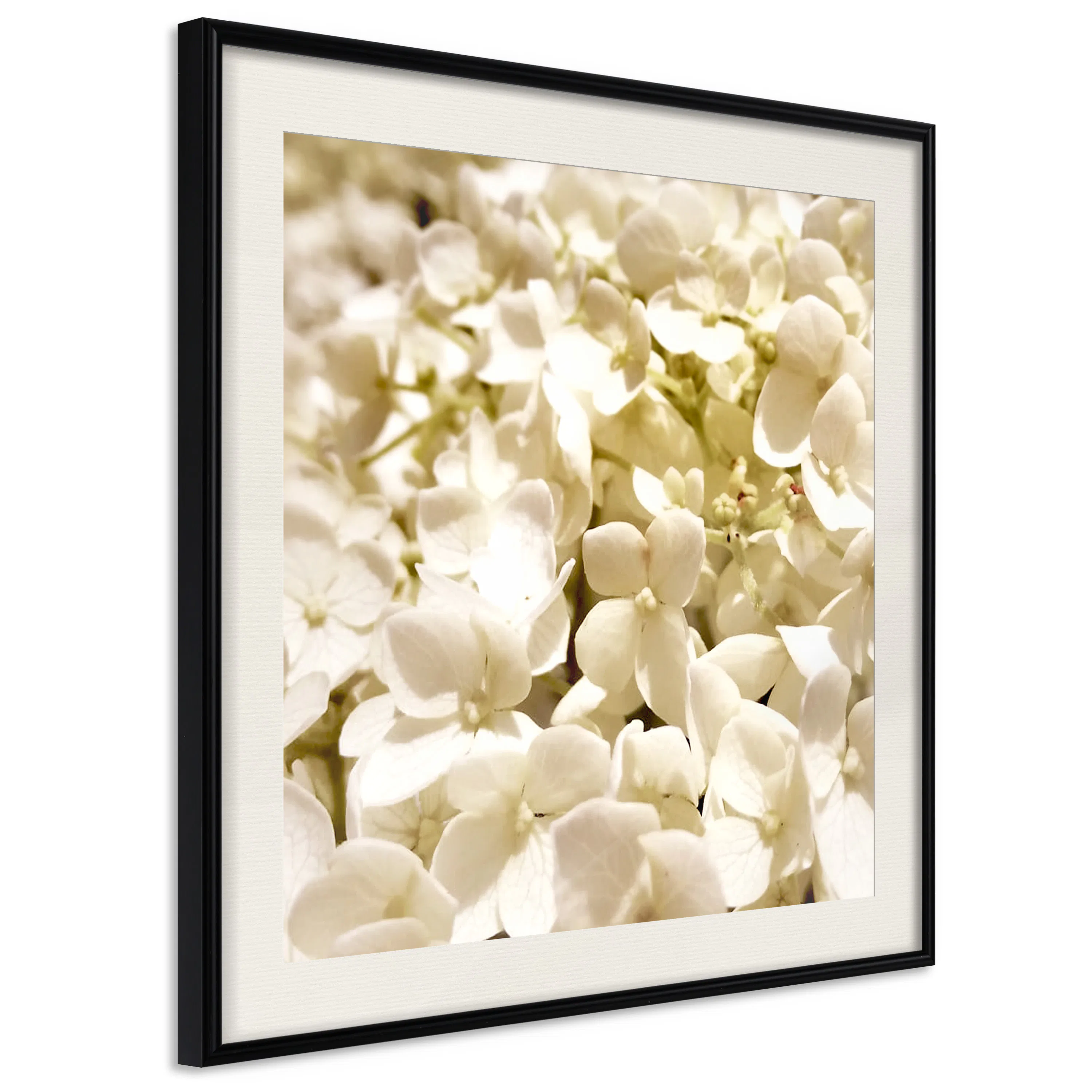 Poster Artgeist Affisch White Meadow