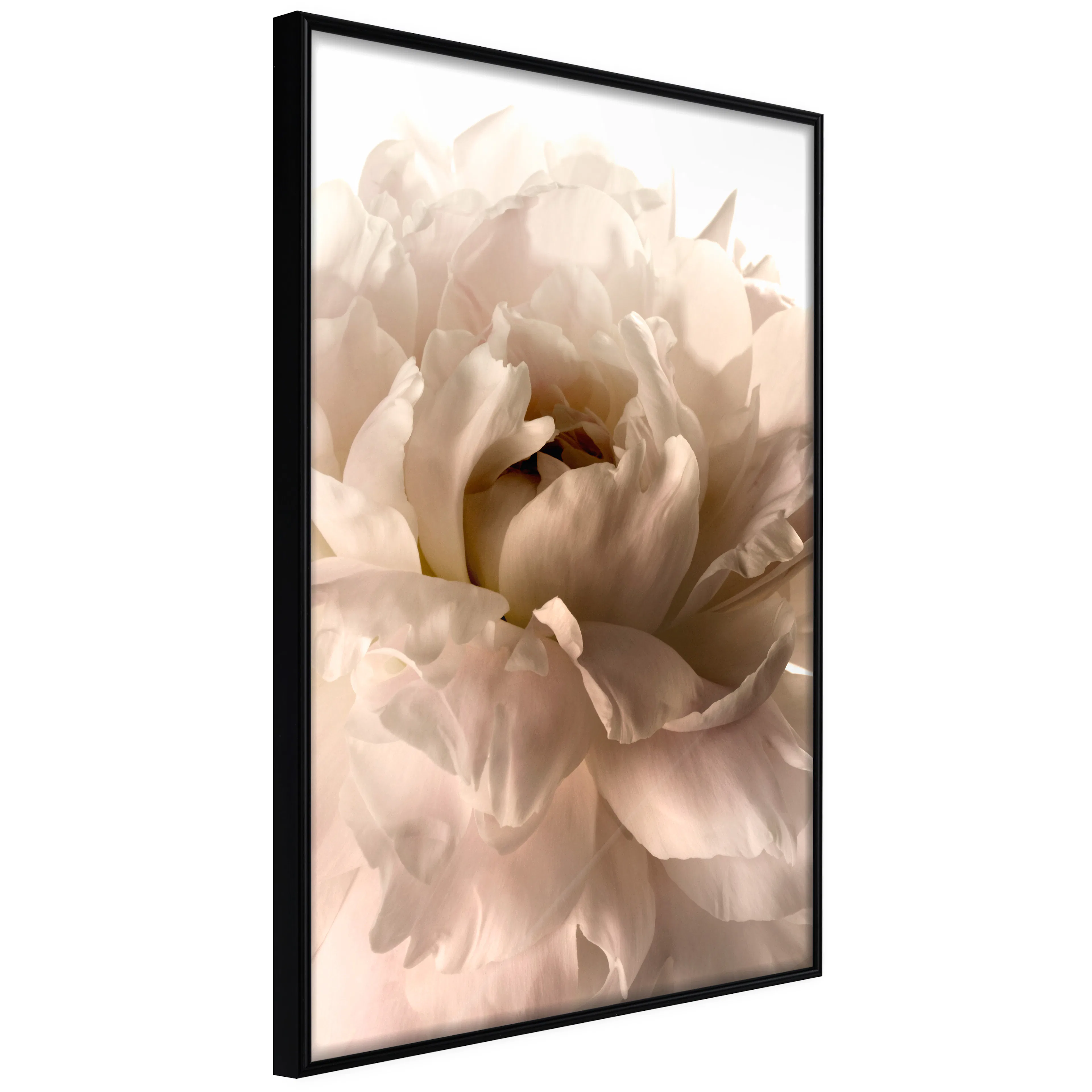 Affisch - Soft Petals [Poster] 30x45 Svart ram, 30x45 cm