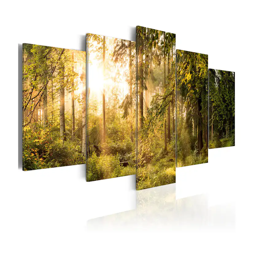 Tavla Arkiio Magic Of Forest
