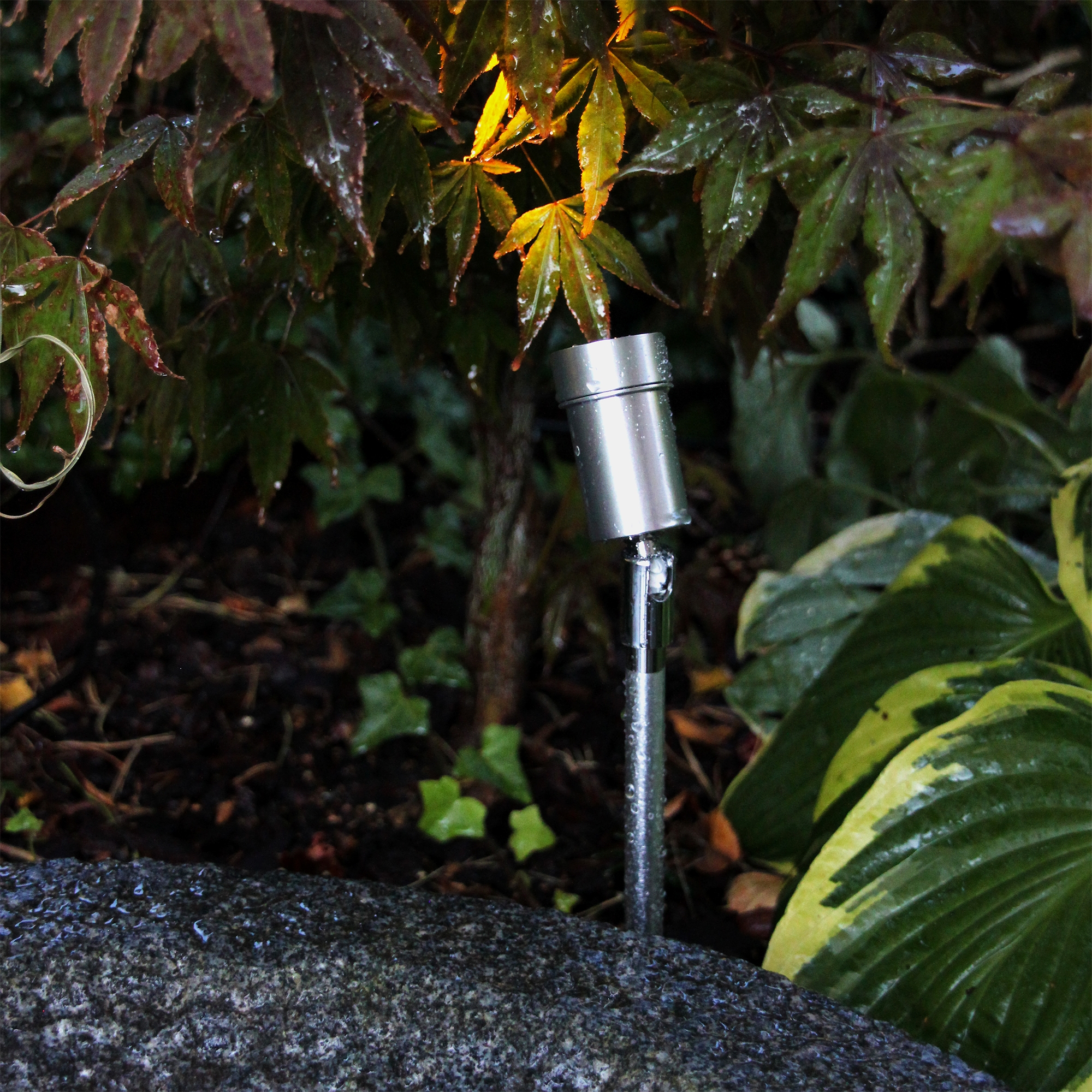 Markspot Lightson Optica