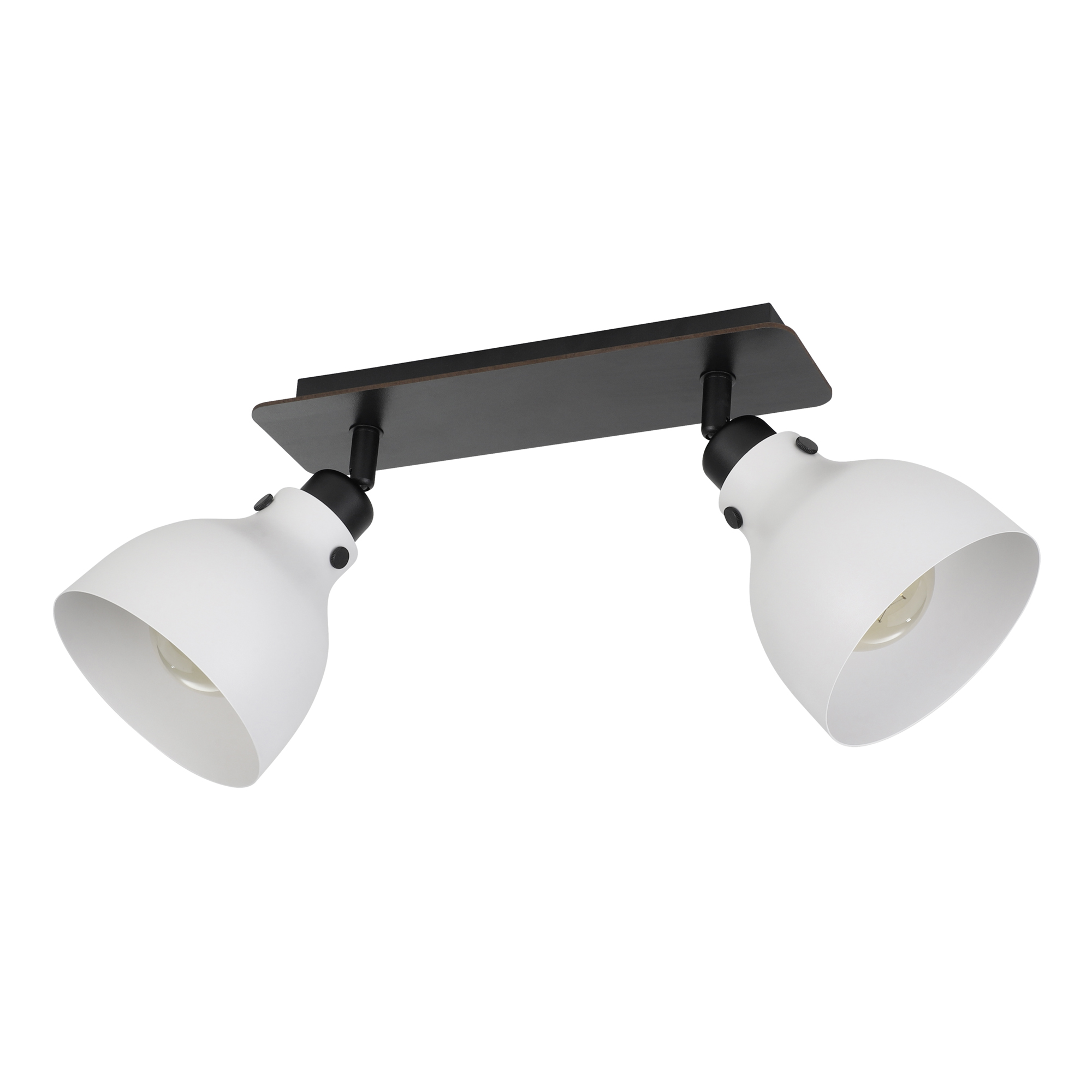 Spotlight Eglo Matlock