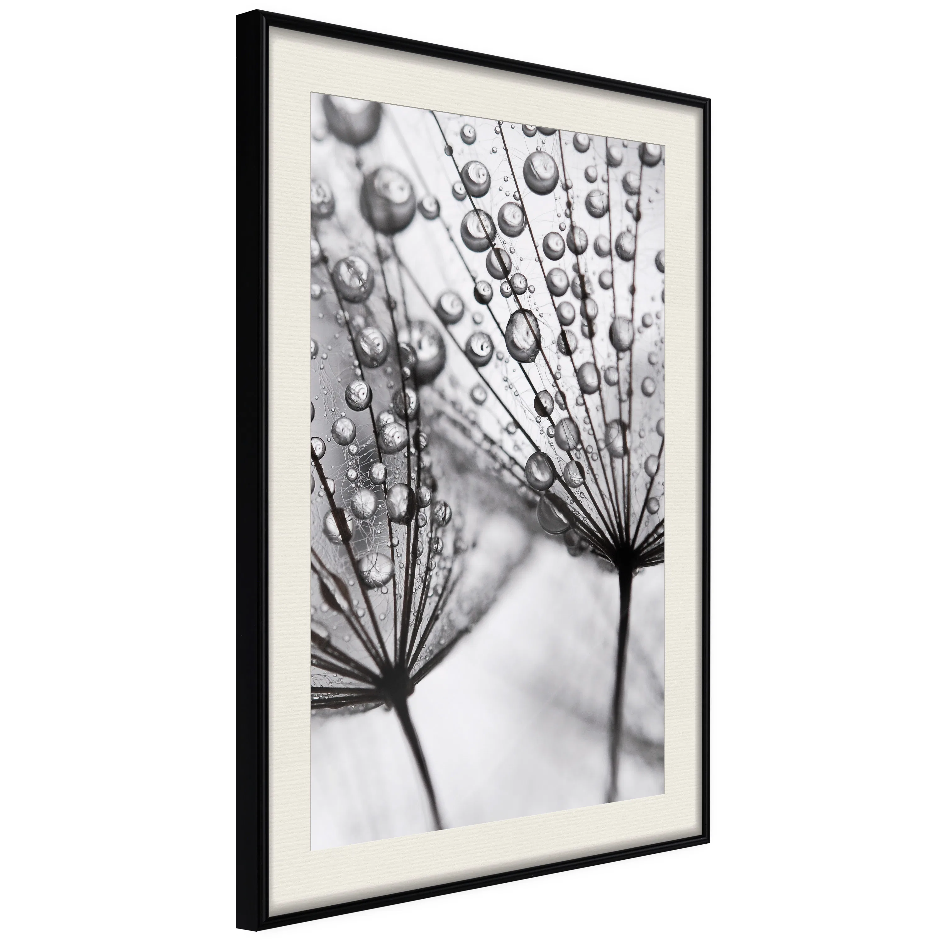 Poster Artgeist Affisch Morning Dew