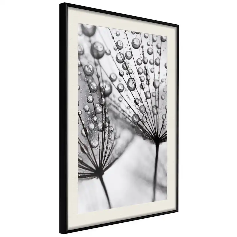 Poster Artgeist Affisch Morning Dew