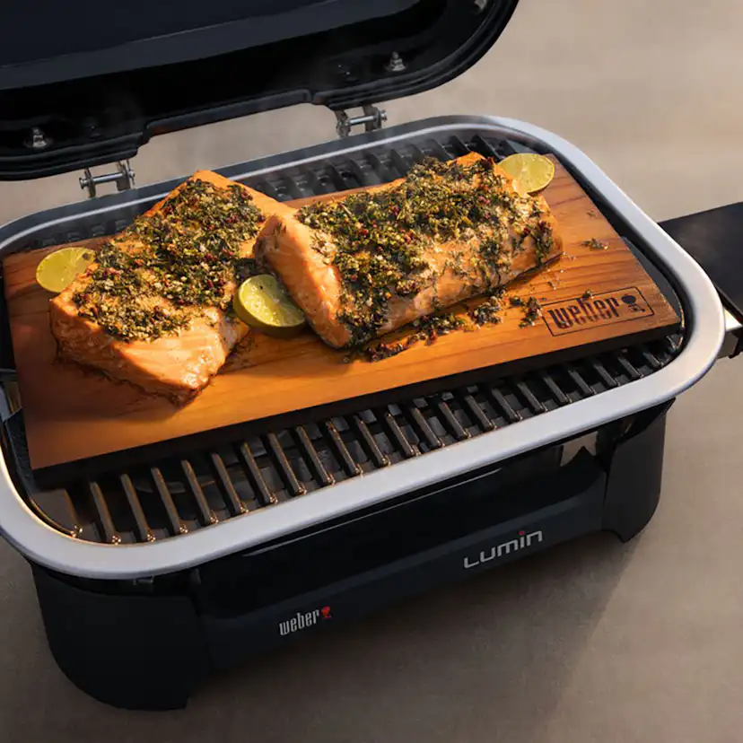 Elgrill Weber Lumin med ställning