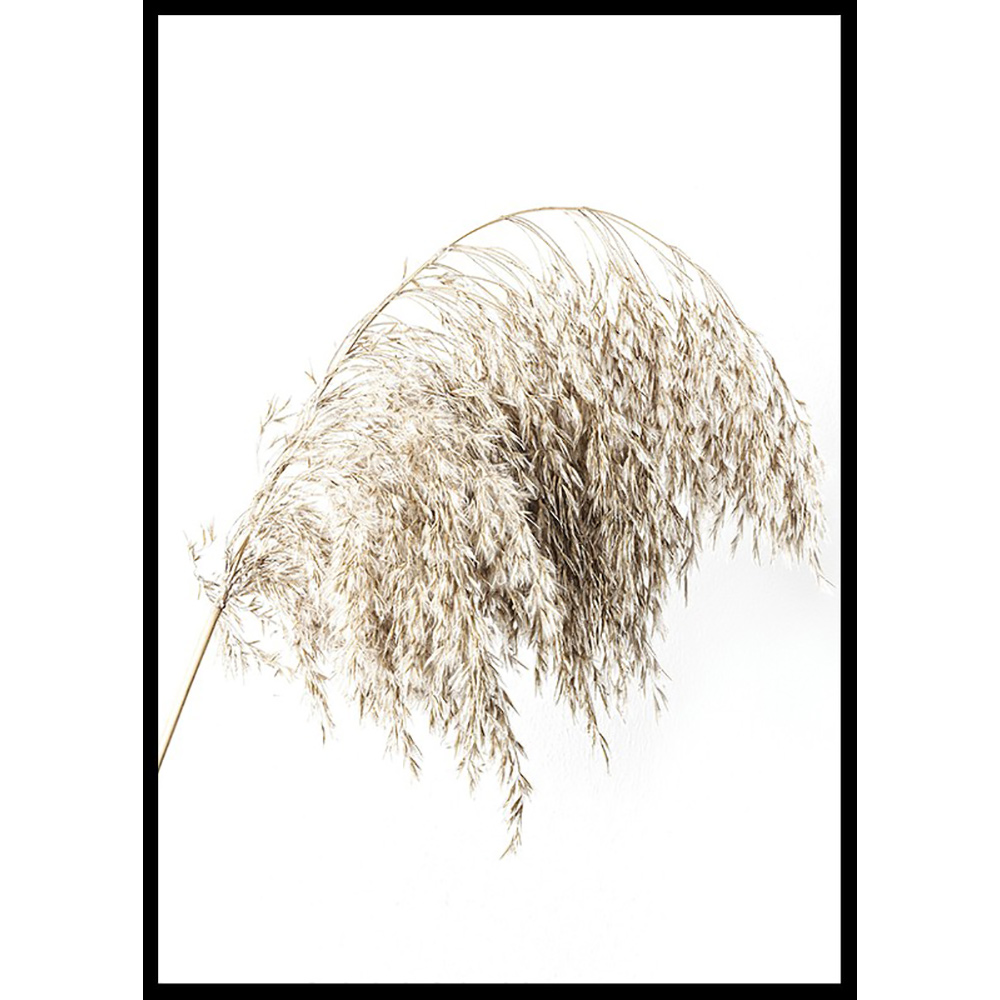 Poster Gallerix Boho Dried In Nature No2