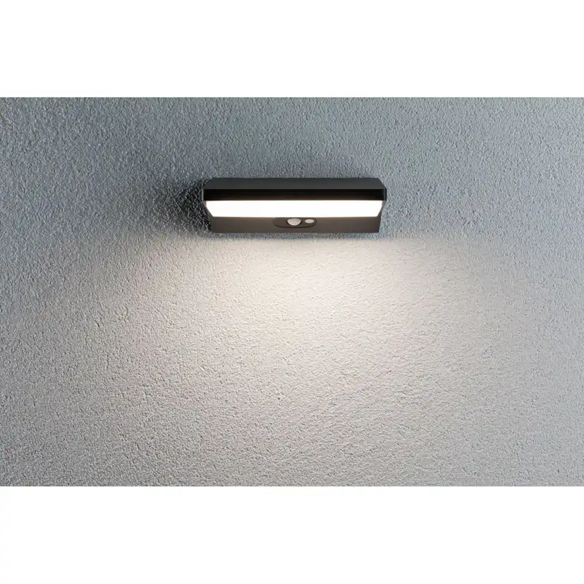 Fasadbelysning LED Paulmann Ronea IP44 230V