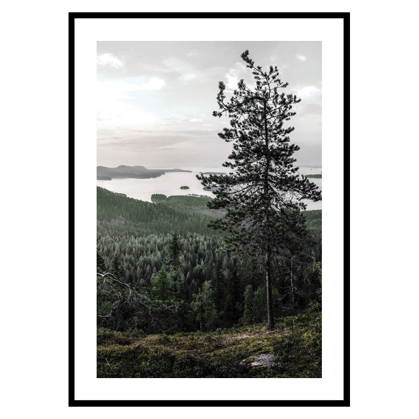 Poster Gallerix Lieksa