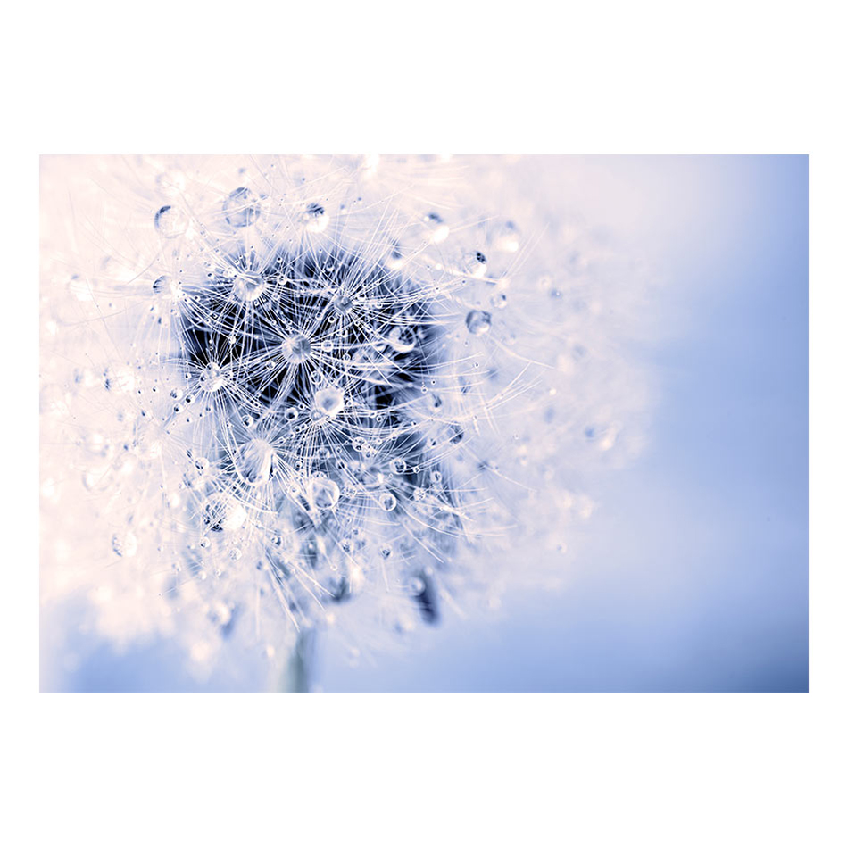 Fototapet Arkiio Etheric Morning