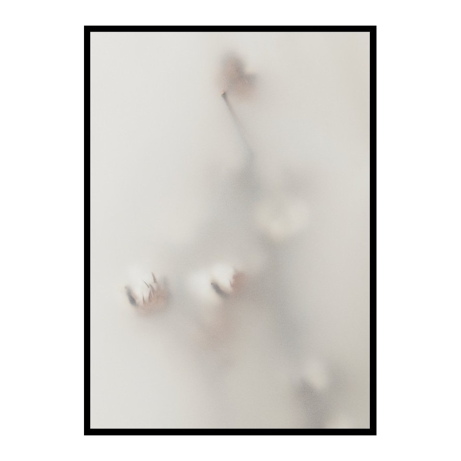 Poster Gallerix Concealed Cotton