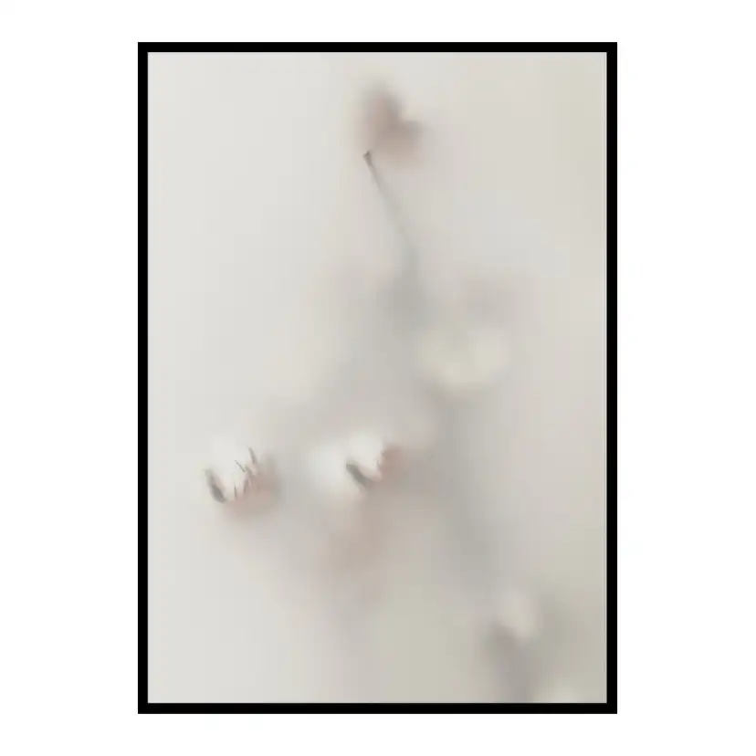Poster Gallerix Concealed Cotton