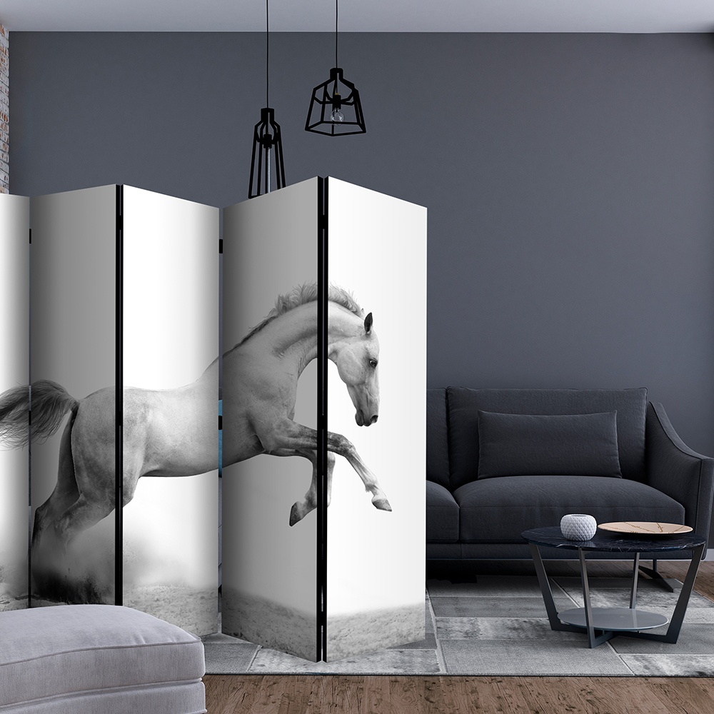 Rumsavdelare Skärmvägg Arkiio White Gallop II 225x172 cm