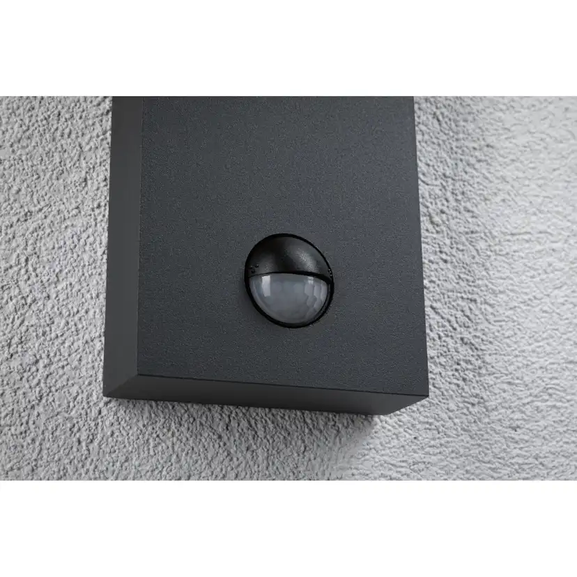 Fasadbelysning LED Paulmann Puka Seawater Resistant IP44 230V Design: med Skymningsstyrd Rörelsedetektor