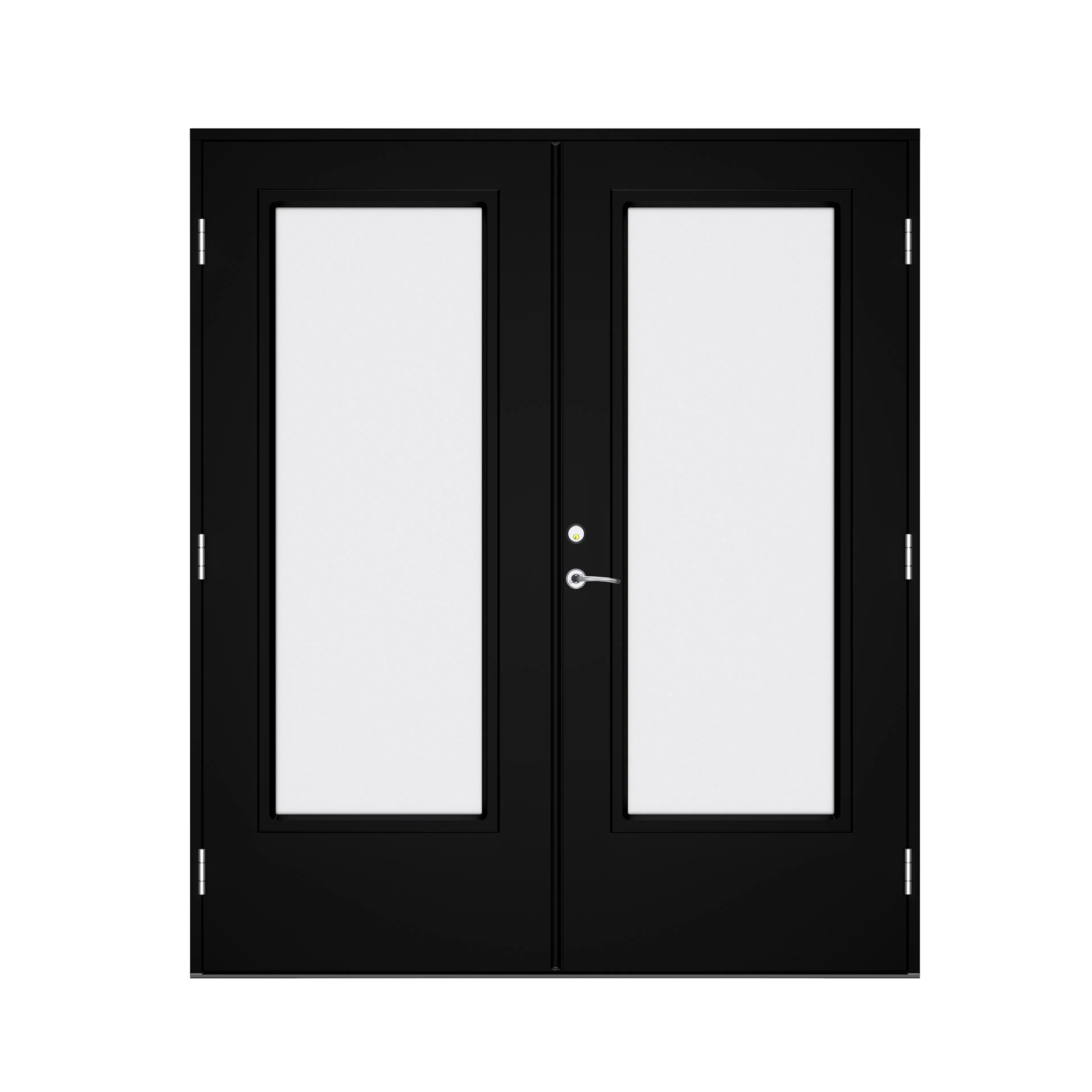 Parytterdörr Swedoor Advance-Line Vision Lumina BxH: 180x200 cm NCS-S-9000-N