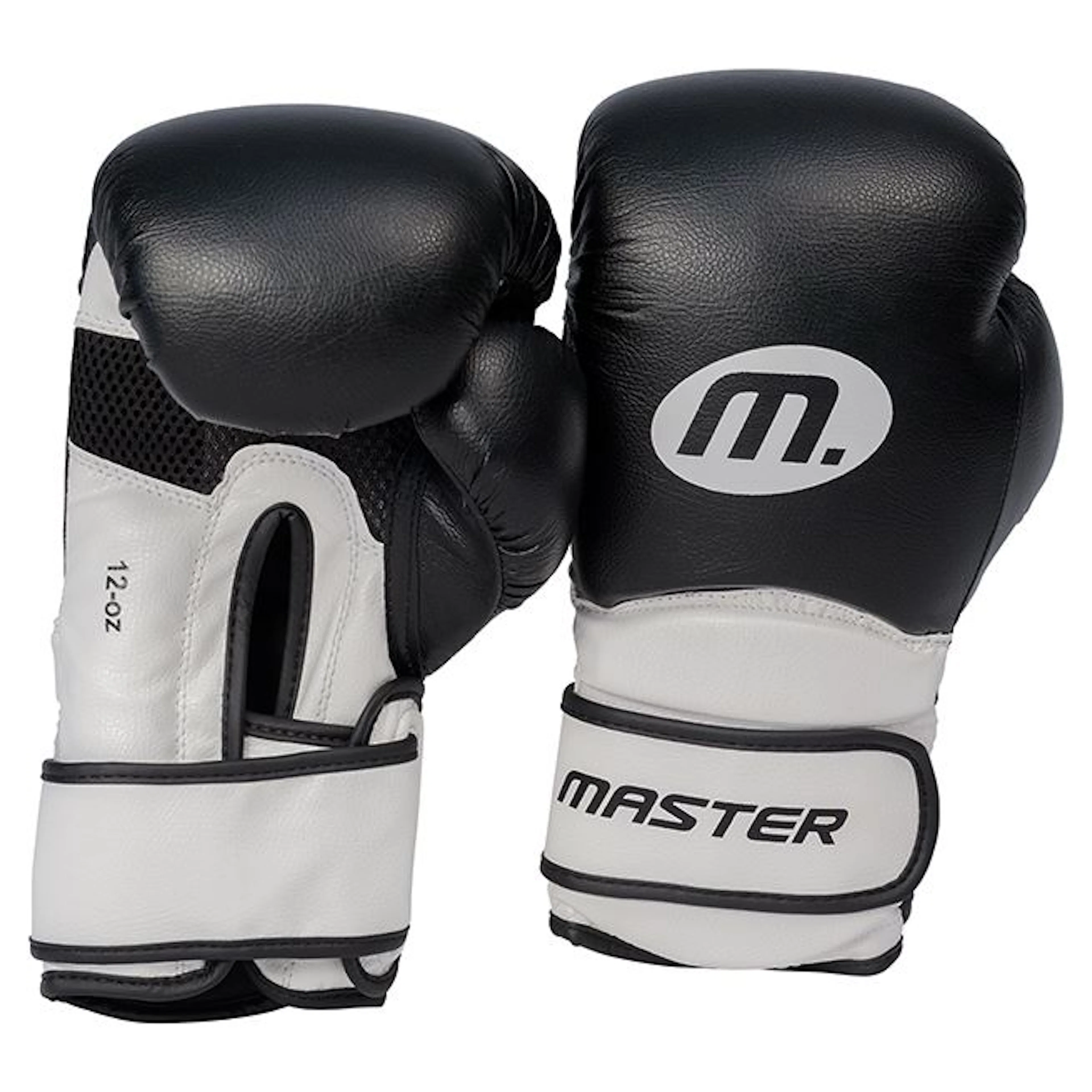 Boxhandskar Master Fitness 12 Oz