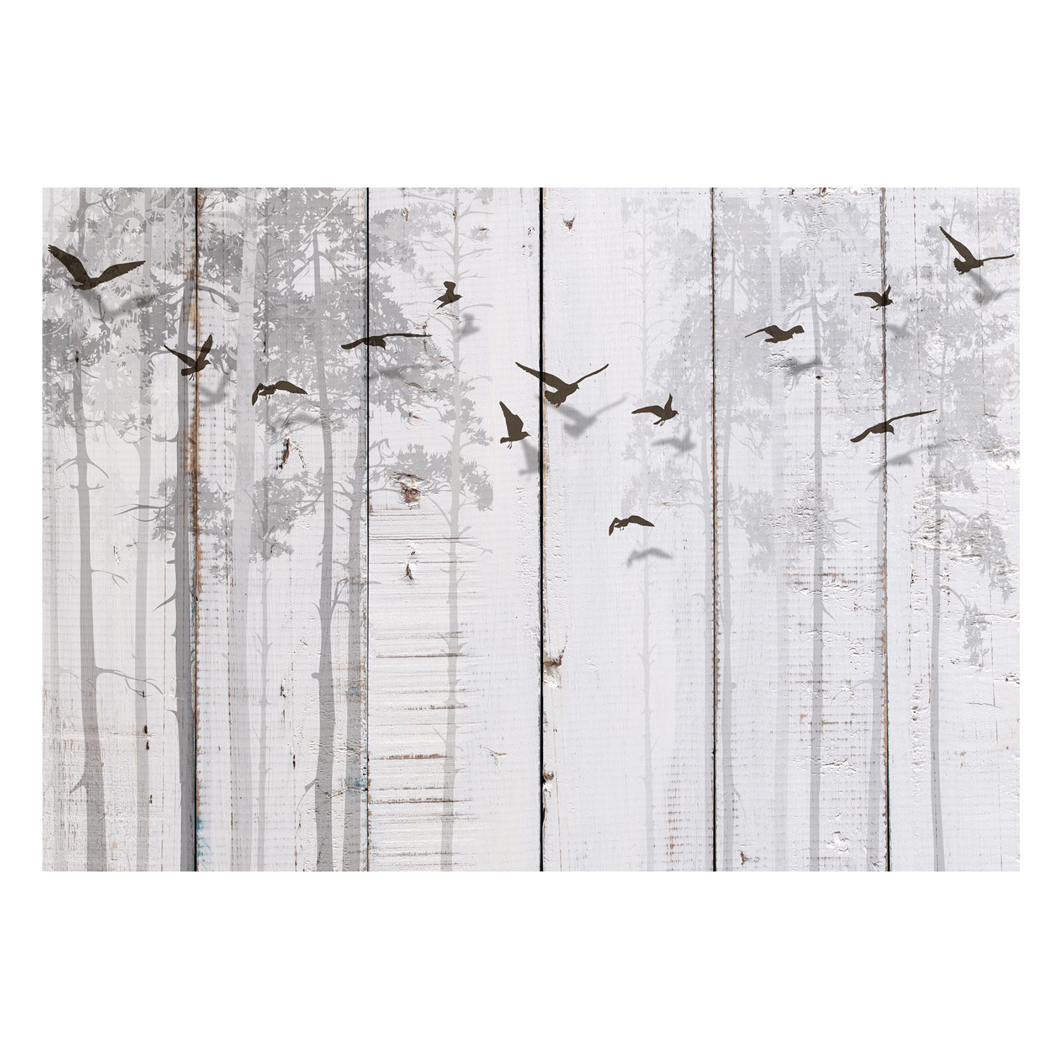 Fototapet Arkiio Birds on Boards