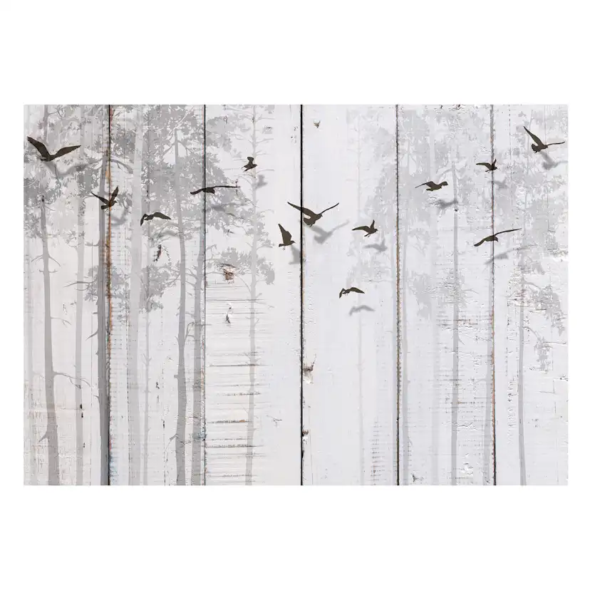 Fototapet Arkiio Birds on Boards