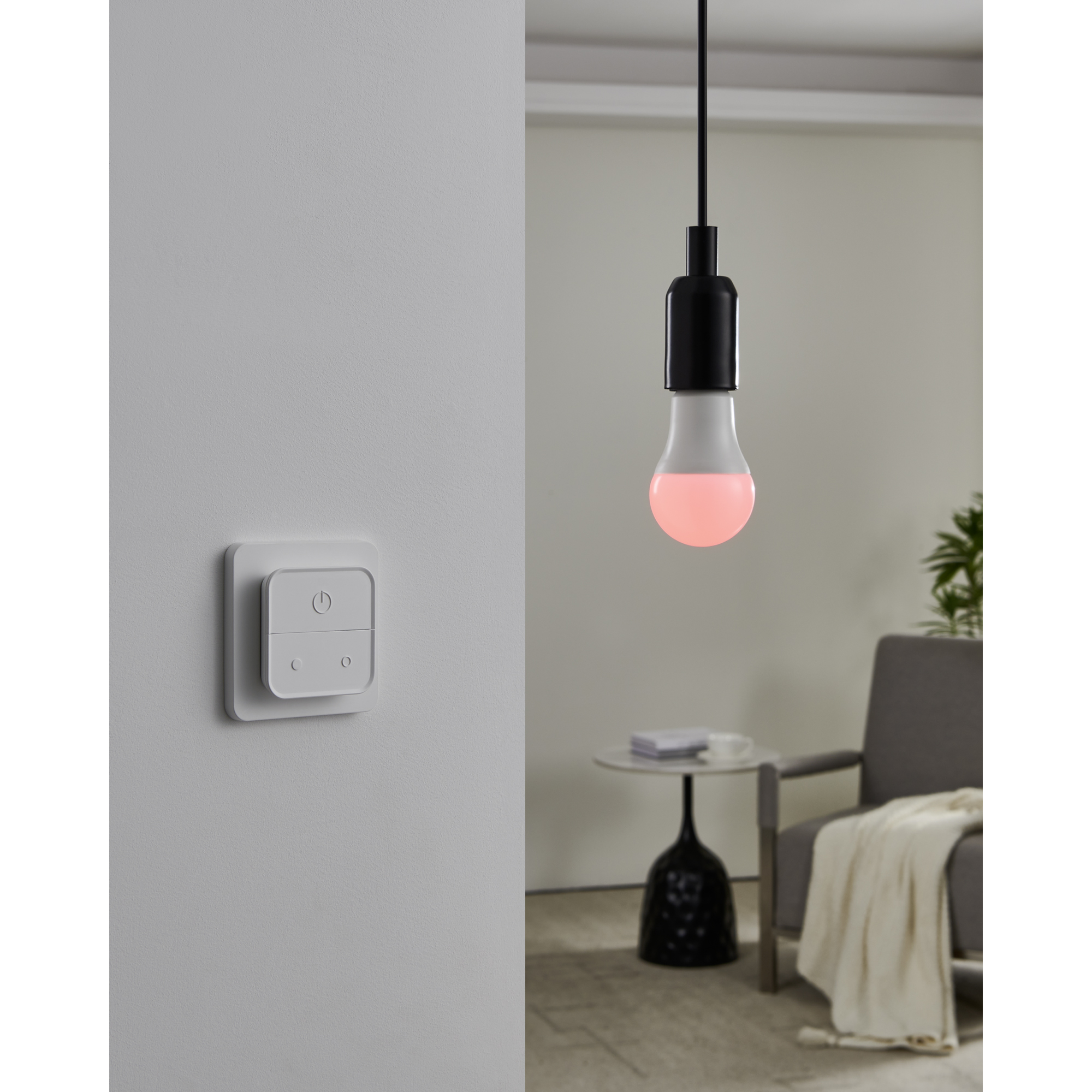Ljuskälla Eglo 2xLM-ZIG-RGB/CCT E27 A60 9W Brytare
