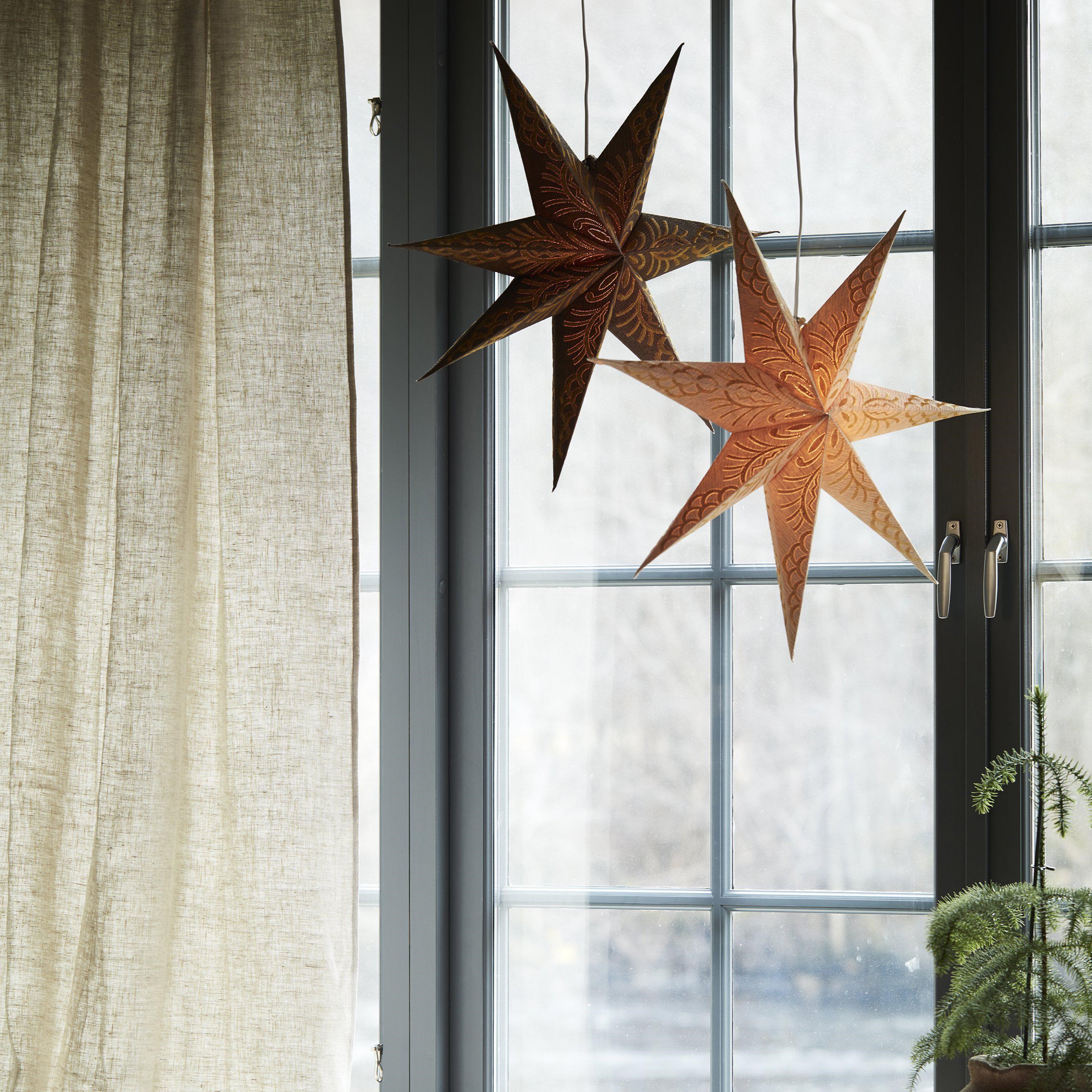 Celeste star Brown gold 60cm Brun