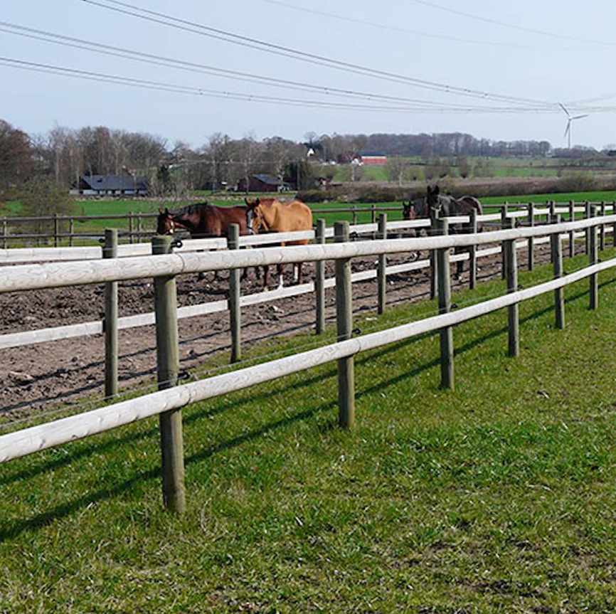 Bom Fyrås Trä 95x3000 mm 55 st Oimpregnerad