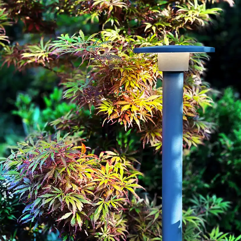 Pollare LightsOn Orbit 65
