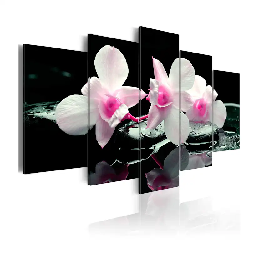 Tavla Arkiio Rest Of Orchids
