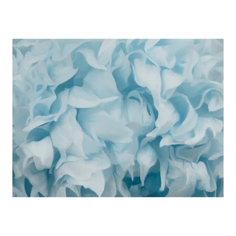 Fototapet Arkiio Azalea Blue
