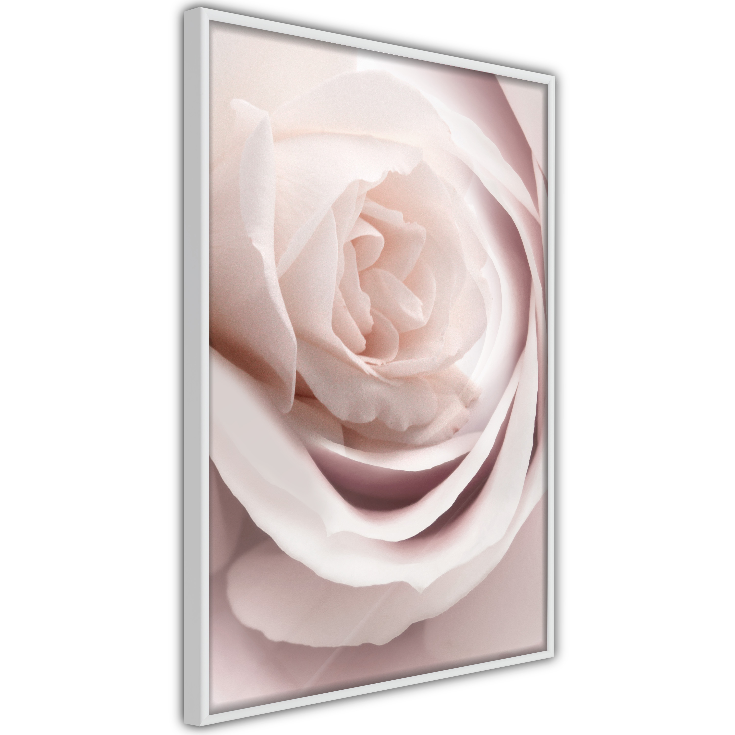 Poster Artgeist Affisch Porcelain Rose