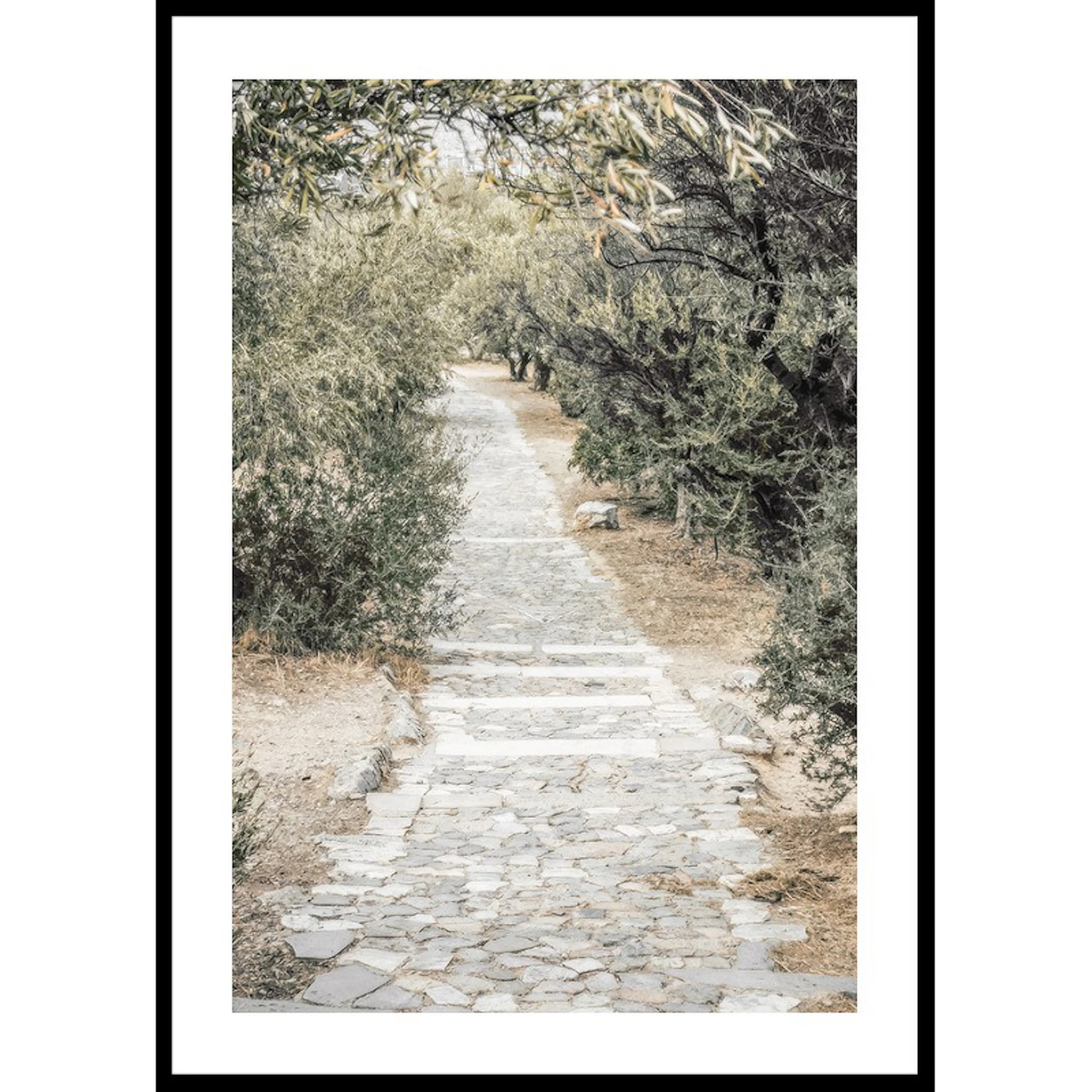 Olive Tree Garden 30x40 30x40 cm