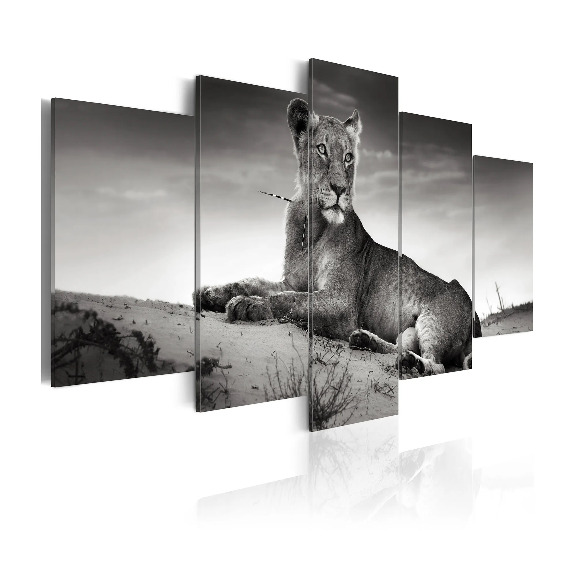 Tavla Arkiio Lioness In A Desert