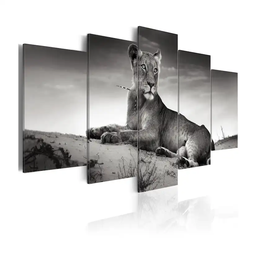 Tavla Arkiio Lioness In A Desert