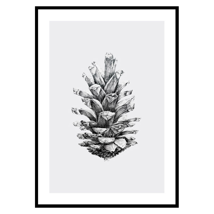 Poster Gallerix Sketched Spruce Cone