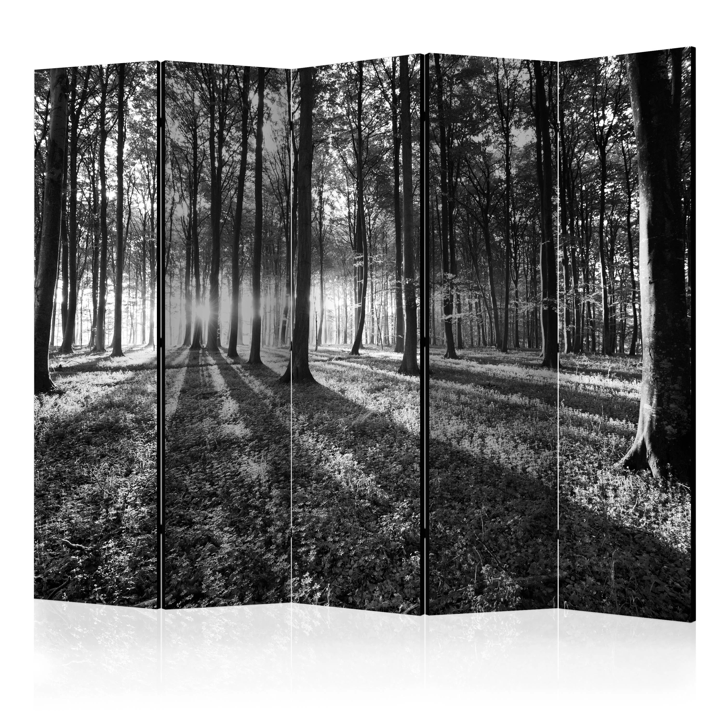 Rumsavdelare Skärmvägg Arkiio Grey Wilderness II 225x172 cm