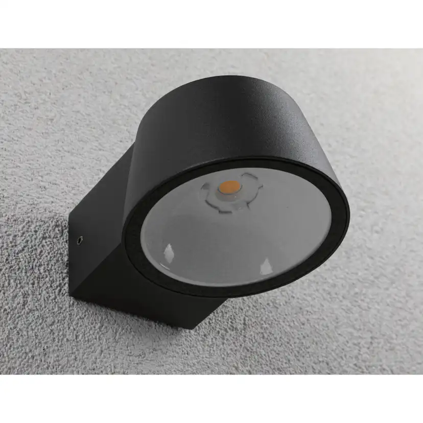 Fasadbelysning LED Paulmann Capea IP44 230V Design: utan Skymningsstyrd Rörelsedetektor, Ljus: Soft White