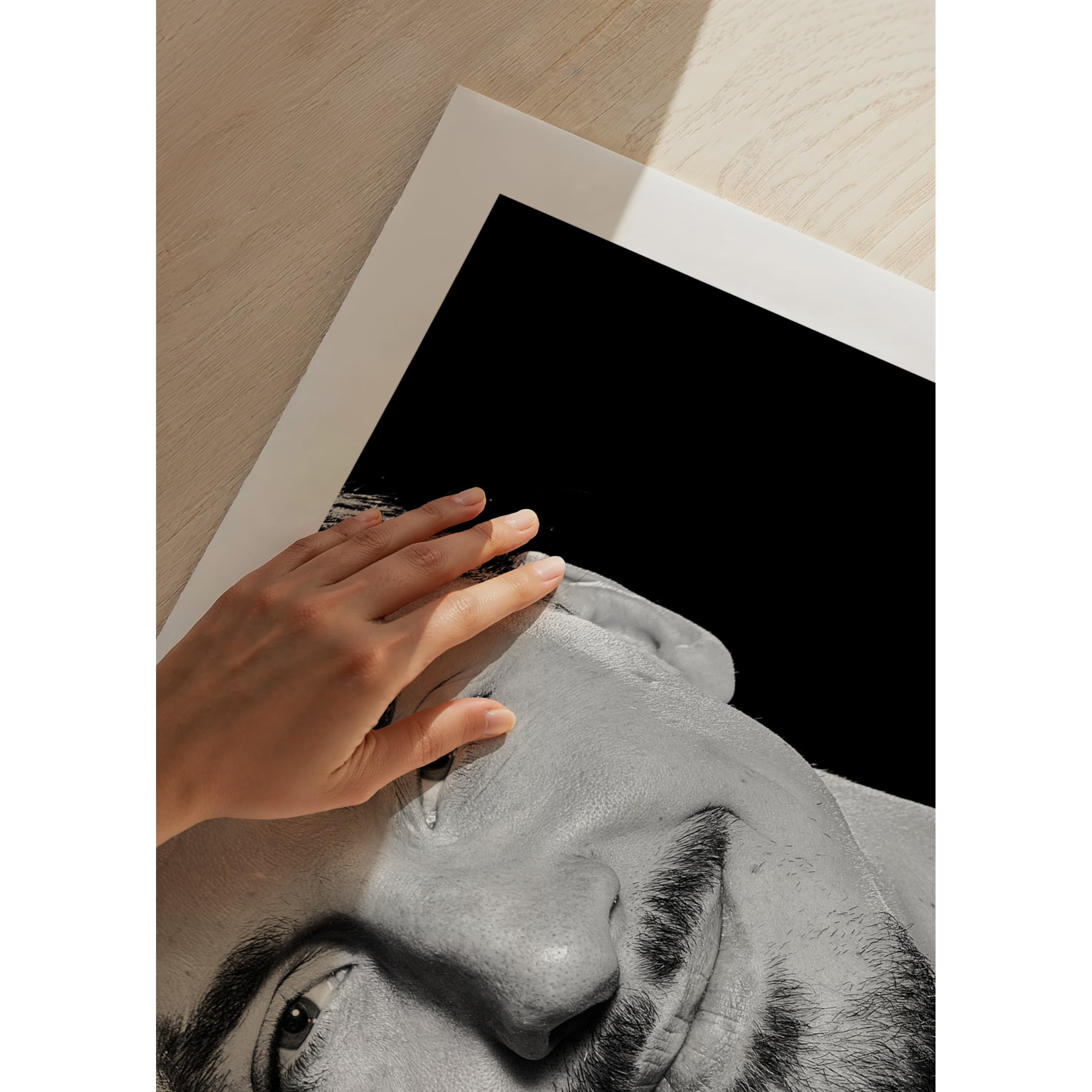 Poster Gallerix Zlatan Ibrahimovic Portrait 2016