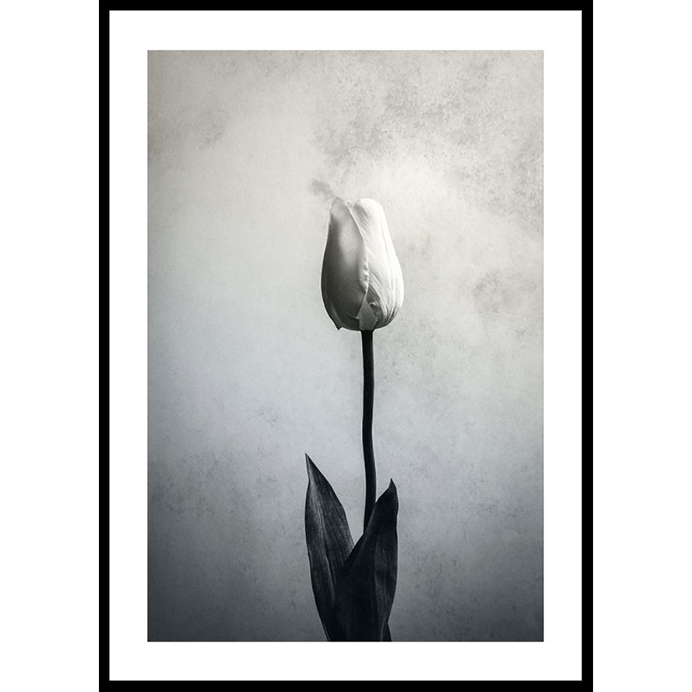 Poster Gallerix Serendipity